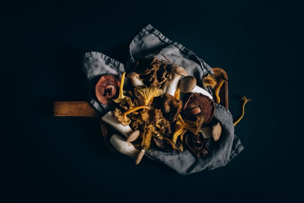 Bouillonblokjes Funghi Porcini vervangen